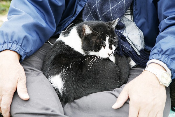 ɨξǭΥ̵֥Ǻcat0027-001