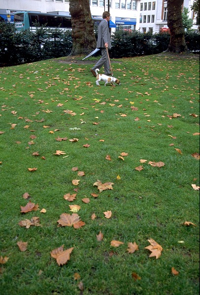 Ȼ⤹Υ̵֥Ǻdog0137-023
