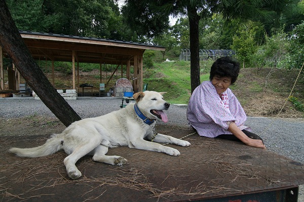 ļ˸ȤФΥ̵֥Ǻdog0148-041