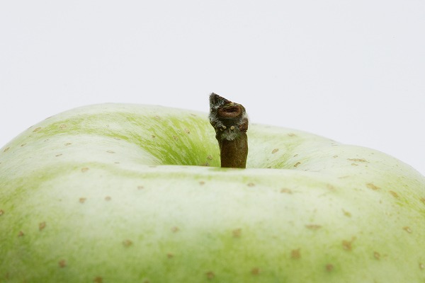 ĥ Ӹ AppleΥ̵֥Ǻfd401020