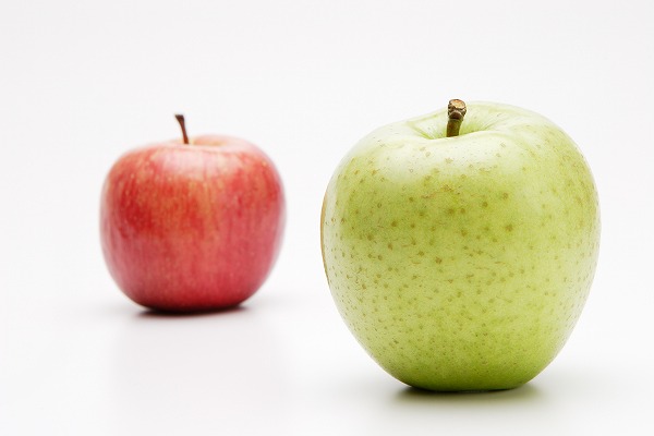 ĥ ֥ Apple åץΥ̵֥Ǻfd401028