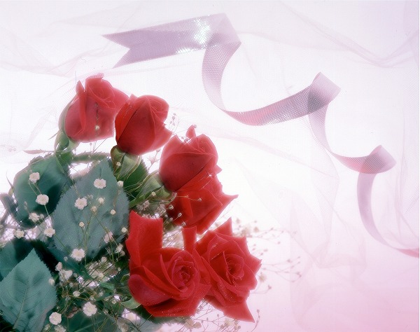 « ܥ ե󥸥ȤΥ̵֥Ǻgft0058-049