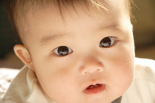 ֤Υ̵֥Ǻkid0055-009