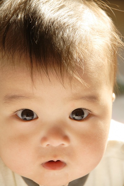 ֤Υ̵֥Ǻkid0056-009