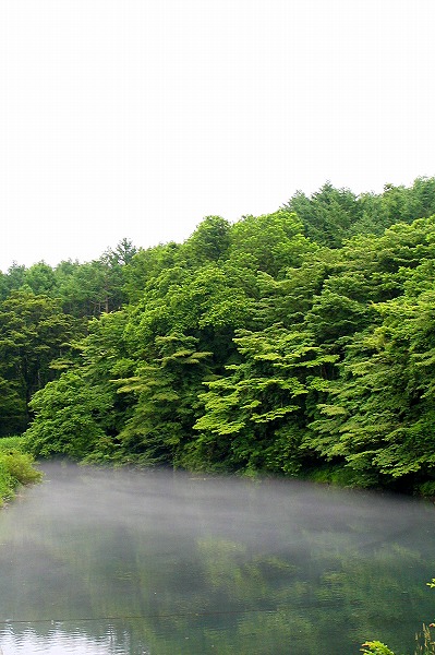 ̸Ӥ˱ǤФڡΥ̵֥Ǻriv0012-009