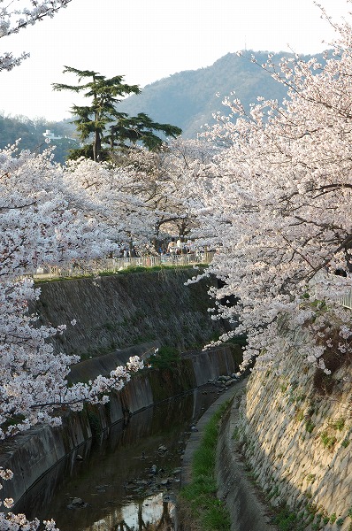 褤 ڤΥ̵֥Ǻsak0089-044