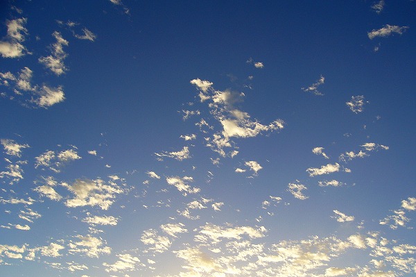 ϥ磻 ĶȱΥ̵֥Ǻsor0022-009