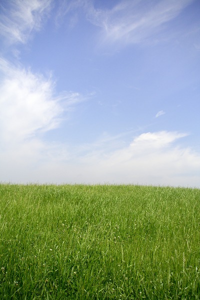 ƤĶ ֤Υ̵֥Ǻyam0081-009