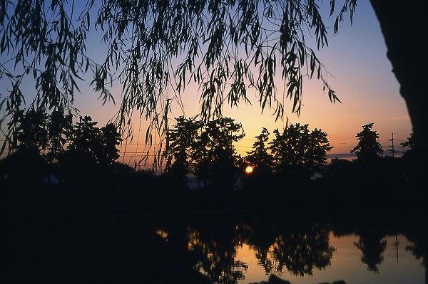 դͼʤΥ̵֥Ǻyuu0011-004
