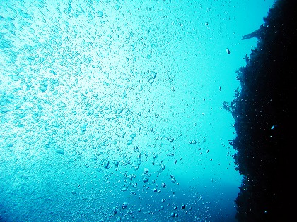 海中風景 エアー 気泡の写真素材 wtr0048-024
